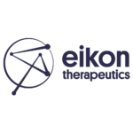 Eikon-logo-purple